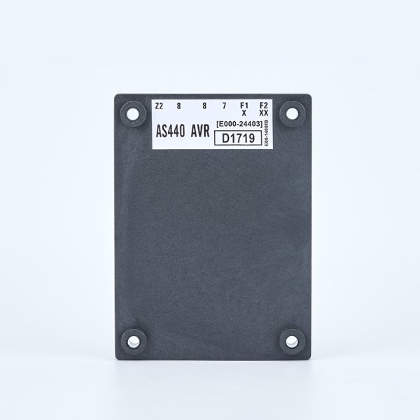 Regulador de voltaje automático AS440-AVR - Imagen 5